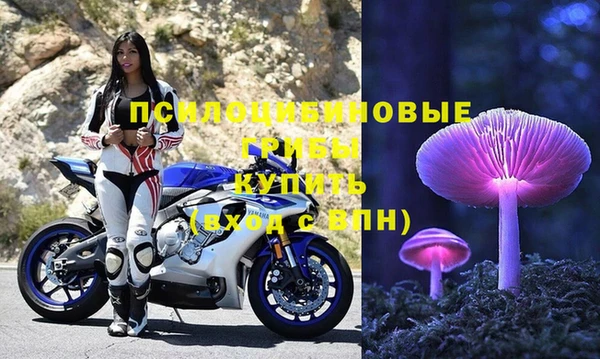 шишки Всеволожск