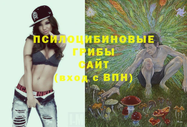гидропоника Воткинск