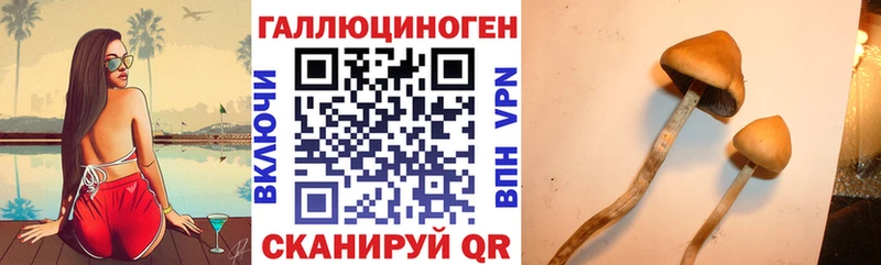 Псилоцибиновые грибы Psilocybe  hydra ТОР  даркнет формула  Лангепас 